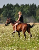 &quot;Pievoje tarp žiedų&quot; Albina Jasinskaitė